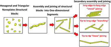 Graphical abstract: Highly repeatable kinetically-independent synthesis of one- and two-dimensional silver nanostructures by oriented attachment