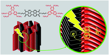 Graphical abstract: Structure–charge transfer property relationship in self-assembled discotic liquid-crystalline donor–acceptor dyad and triad thin films