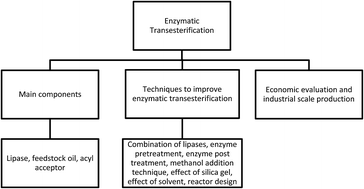 Graphical abstract: Enzymatic transesterification for biodiesel production: a comprehensive review