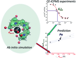 Graphical abstract: Revisiting actinide–DTPA complexes in aqueous solution by CE-ICPMS and ab initio molecular dynamics