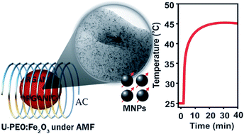 Graphical abstract: Magnetic hyperthermia-induced drug release from ureasil-PEO-γ-Fe2O3 nanocomposites