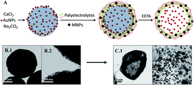 Graphical abstract: Catalysis by multifunctional polyelectrolyte capsules