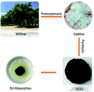 Graphical abstract: Hollow carbon fiber sponges from crude catkins: an ultralow cost absorbent for oils and organic solvents