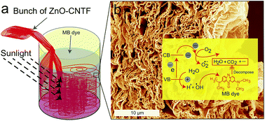 Graphical abstract: In situ fabrication of a thermally stable and highly porous conductive solar light-driven ZnO–CNT fiber photocatalyst