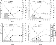 Graphical abstract: Kinetic analysis of Fe3+ reduction coupled with nitrate removal by Klebsiella sp. FC61 under different conditions