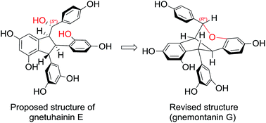 Graphical abstract: Structurally diverse stilbene dimers from Gnetum montanum Markgr.: studies on the 1H chemical shift differences between dimeric stilbene epimers correlating to the relative configurations
