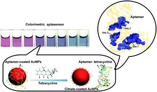 Graphical abstract: A molecular recognition assisted colorimetric aptasensor for tetracycline