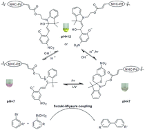 Graphical abstract: A highly active and recyclable homogeneous NHC–palladium catalyst with pH- and light-sensitive tags for the Suzuki–Miyaura coupling reactions of aryl halides with arylboronic acids