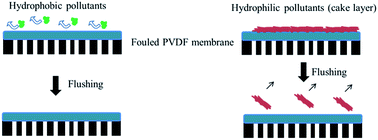 Graphical abstract: Irreversible fouling control of PVDF ultrafiltration membrane with “fouled surface” for mimetic sewage treatment