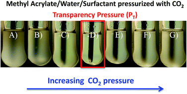 Graphical abstract: Radical polymerization of miniemulsions induced by compressed gases