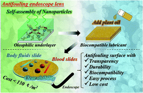Graphical abstract: Facile design of plant-oil-infused fine surface asperity for transparent blood-repelling endoscope lens