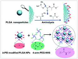 Graphical abstract: Synthesis and characterization of PLGA nanoparticle/4-arm-PEG hybrid hydrogels with controlled porous structures