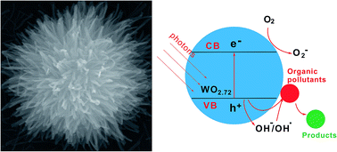 Graphical abstract: Morphology-controlled synthesis of WO2.72 nanostructures and their photocatalytic properties