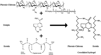 Graphical abstract: Hybrid cross-linked hydrogels based on fibrous protein/block copolymers and layered silicate nanoparticles: tunable thermosensitivity, biodegradability and mechanical durability