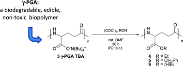 Graphical abstract: Esterification of poly(γ-glutamic acid) (γ-PGA) mediated by its tetrabutylammonium salt