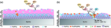 Graphical abstract: Corrosion resistance of layer-by-layer assembled polyvinylpyrrolidone/polyacrylic acid and amorphous silica films on AZ31 magnesium alloys