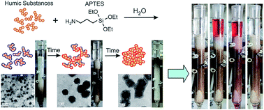 Graphical abstract: Targeted design of water-based humic substances-silsesquioxane soft materials for nature-inspired remedial applications