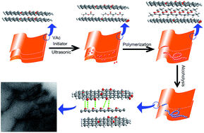 Graphical abstract: Poly(vinyl alcohol)/graphene oxide nanocomposites prepared by in situ polymerization with enhanced mechanical properties and water vapor barrier properties