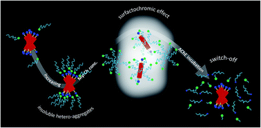 Graphical abstract: Self-assembly of a water soluble perylene and surfactant into fluorescent supramolecular ensembles sensitive to acetylcholinesterase activity