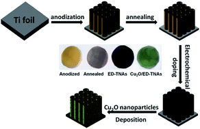 Graphical abstract: Supercapacitive performance of electrochemically doped TiO2 nanotube arrays decorated with Cu2O nanoparticles
