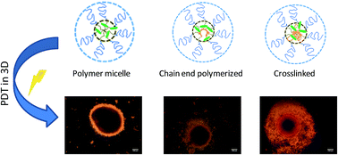 Graphical abstract: Crosslinked polymeric self-assemblies as an efficient strategy for photodynamic therapy on a 3D cell culture