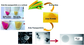 Graphical abstract: Zein bio-nanoparticles: a novel green nanopolymer as a dispersive solid-phase extraction adsorbent for separating and determining trace amounts of azorubine in different foodstuffs