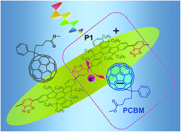 Graphical abstract: Photophysical and photovoltaic properties of truxene-functionalized conjugated polymer–fullerene supramolecular complexes