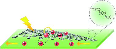Graphical abstract: Facile fabrication of an organic semiconductor/graphene microribbon heterojunction by self-assembly
