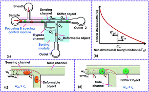 Graphical abstract: Characterization and sorting of cells based on stiffness contrast in a microfluidic channel