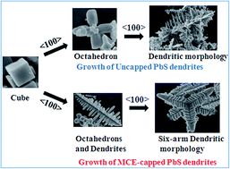 Graphical abstract: Template-free syntheses of hierarchical PbS microstructures using a new sulphur source and their time-dependent morphological evolution and photocatalytic properties