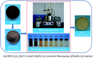 Graphical abstract: A novel approach to the fabrication of bleached shellac by a totally chlorine-free (TCF) bleaching method