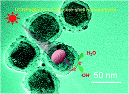 Graphical abstract: Decoration of upconversion nanoparticles@mSiO2 core–shell nanostructures with CdS nanocrystals for excellent infrared light triggered photocatalysis