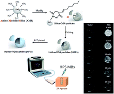 Graphical abstract: Template-based formation of ultrasound microbubble contrast agents