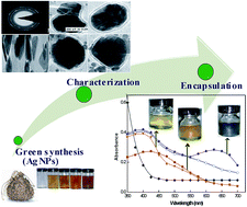 Graphical abstract: Reversible encapsulation of silver nanoparticles into the helix of amylose (water soluble starch)