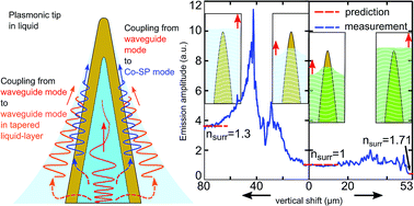 Graphical abstract: Controlling the excitation of radially polarized conical plasmons in plasmonic tips in liquids