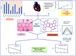 Graphical abstract: Synthesis, crystal structure from PXRD of a MnII(purp)2 complex, interaction with DNA at different temperatures and pH and lack of stimulated ROS formation by the complex