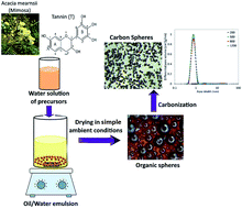 Graphical abstract: Biosourced, highly porous, carbon xerogel microspheres