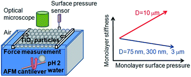 Graphical abstract: Forces and physical properties of the Langmuir monolayers of TiO2 particles at air/water interfaces after collisions by a particle in water