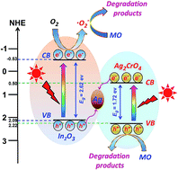 Graphical abstract: Facile fabrication and enhanced visible-light photocatalytic activity of In2O3/Ag2CrO4 composites