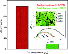 Graphical abstract: Rhus verniciflua as a green corrosion inhibitor for mild steel in 1 M H2SO4