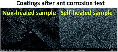 Graphical abstract: A reactive blend of electroactive polymers exhibiting synergistic effects on self-healing and anticorrosion properties