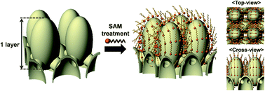 Graphical abstract: Controlled three-dimensional interconnected capillary structures for liquid repellency engineering