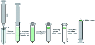 Graphical abstract: In-syringe low-density ionic liquid dispersive liquid–liquid microextraction for the fast determination of pyrethroid insecticides in environmental water samples by HPLC-DAD