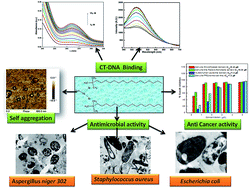 Graphical abstract: One-step synthesis of silver metallosurfactant as an efficient antibacterial and anticancer material