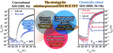 Graphical abstract: Chemically robust solution-processed indium zinc oxide thin film transistors fabricated by back channel wet-etched Mo electrodes