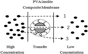 Graphical abstract: Molecular sieving effect of zeolites on the properties of PVA based composite membranes for total heat recovery in ventilation systems