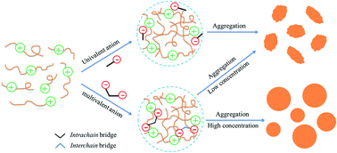 Graphical abstract: Role of salt in the aqueous two-phase copolymerization of acrylamide and cationic monomers: from screening to anion-bridging