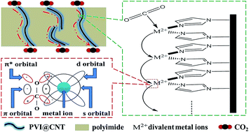 Graphical abstract: Facilitated transport membranes by incorporating different divalent metal ions as CO2 carriers