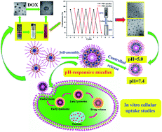 Graphical abstract: Synthesis and self-assembly behavior of pH-responsive star-shaped POSS-(PCL-P(DMAEMA-co-PEGMA))16 inorganic/organic hybrid block copolymer for the controlled intracellular delivery of doxorubicin