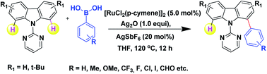 Graphical abstract: Ru-Catalyzed highly site-selective C–H bond arylation of 9-(pyrimidin-2-yl)-9H-carbazole